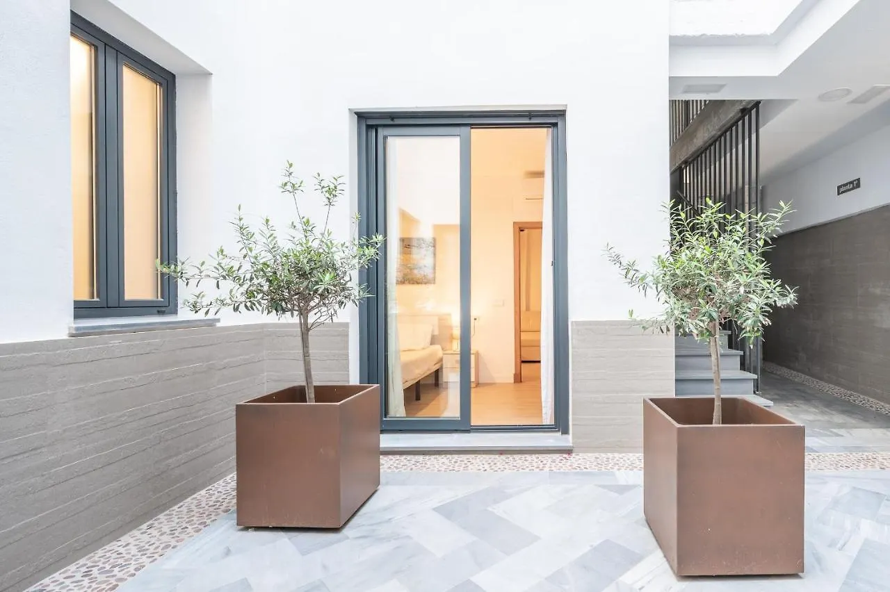 Apartamento Doña Elvira Parras Málaga